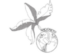 ARCICRETO